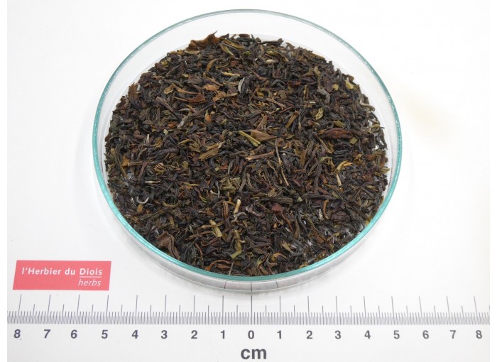 THÉ NOIR DARJEELING feuille*